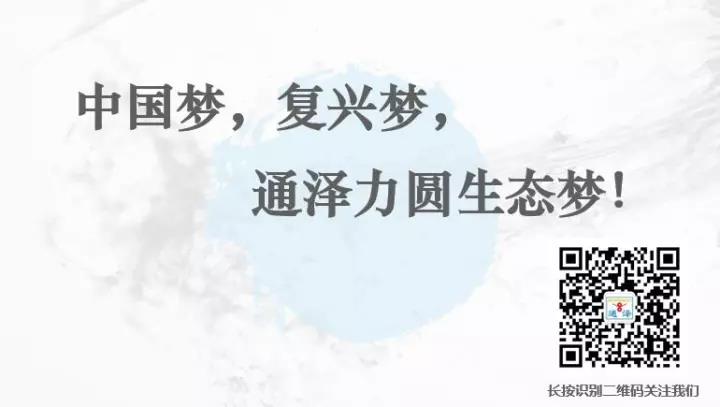 通泽公司隆重召开两化融合管理体系贯标启动大会