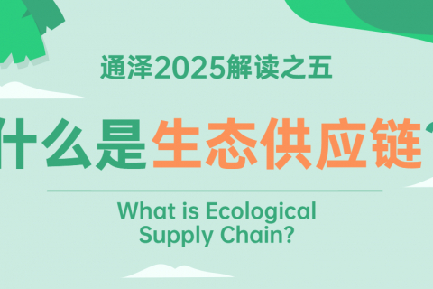 什么是生态供应链？ 	——通泽2025解读之五